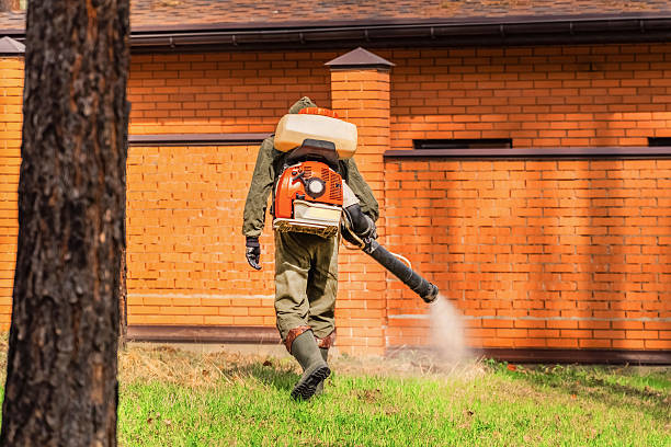 Trusted Termite Control service in Hawi, HI - Nex Pest Control